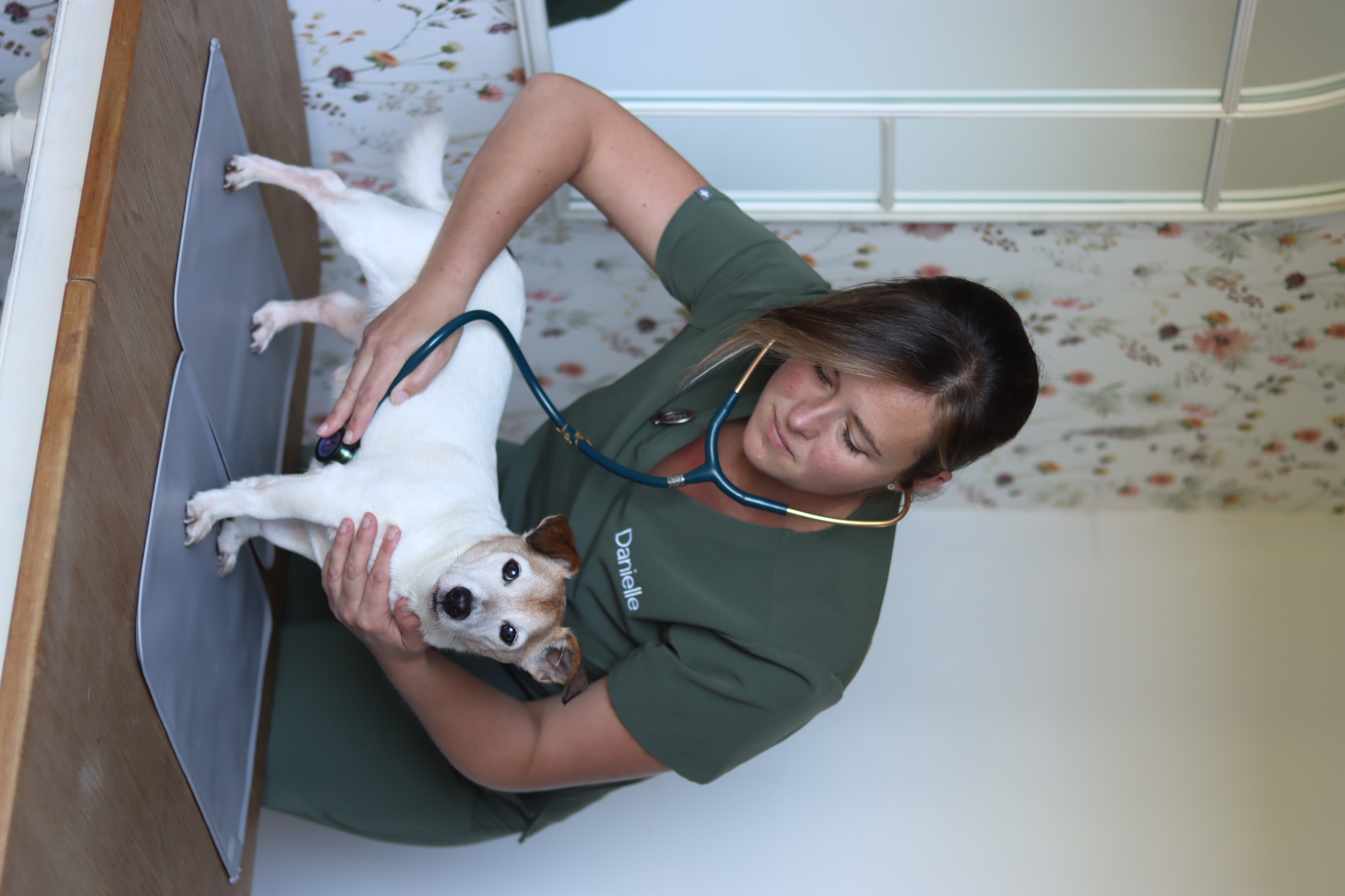 Senior welfare check example 1