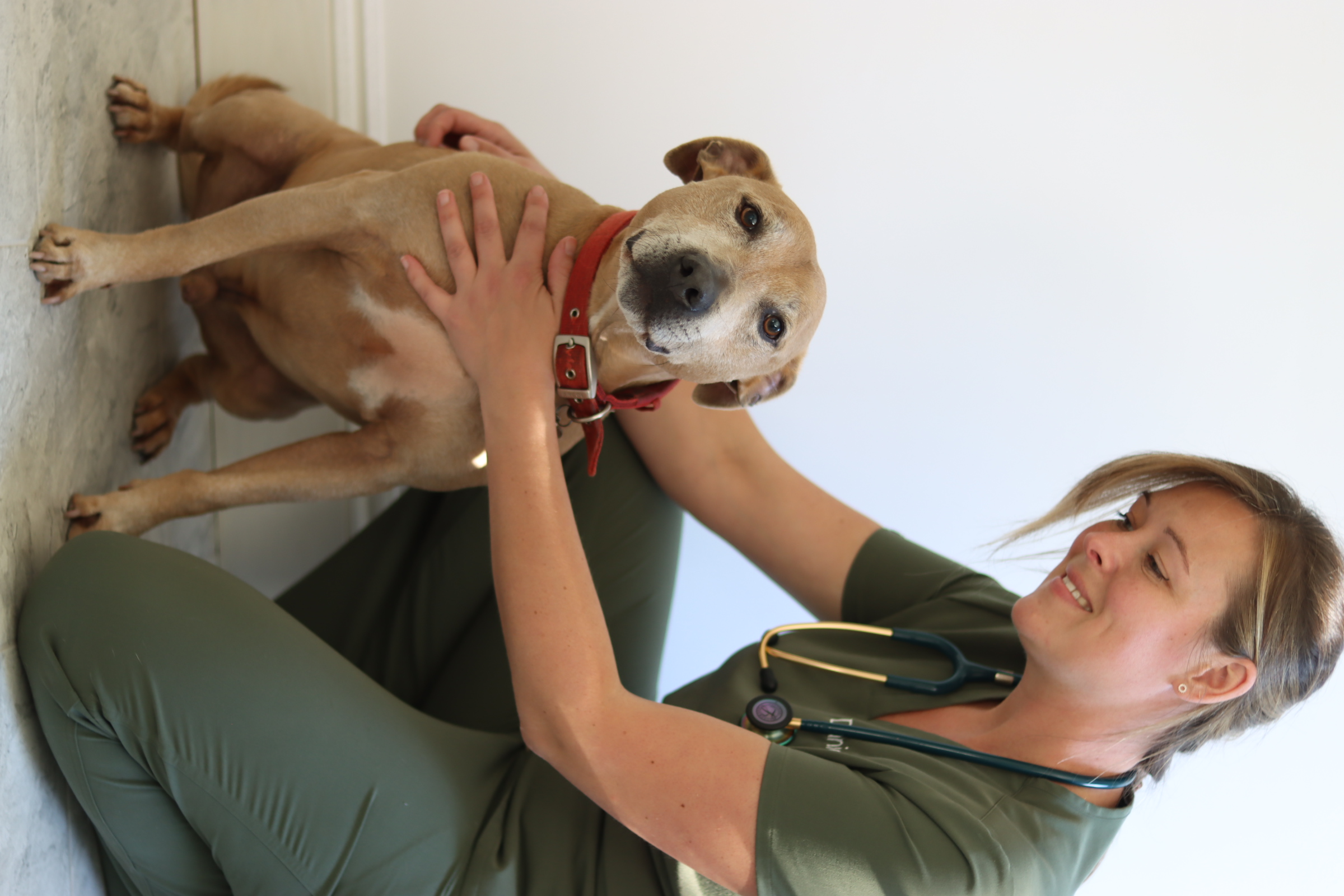 Senior welfare check example 2