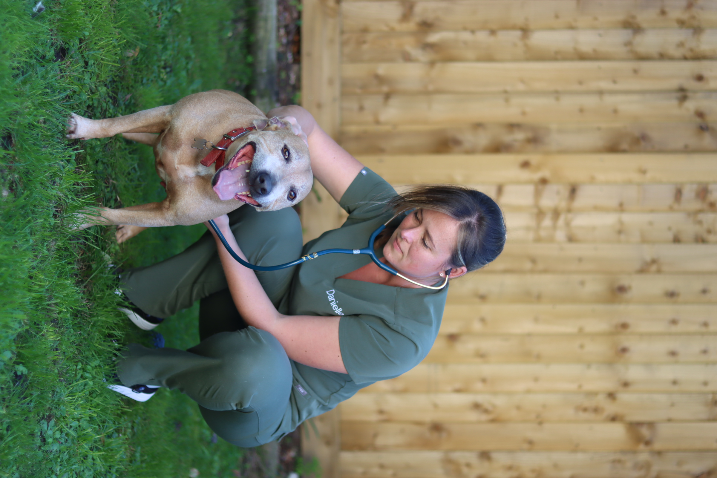 Senior welfare check example 3